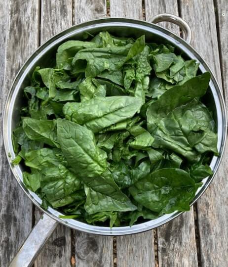 photo of how to freeze spinach by wilting in pan