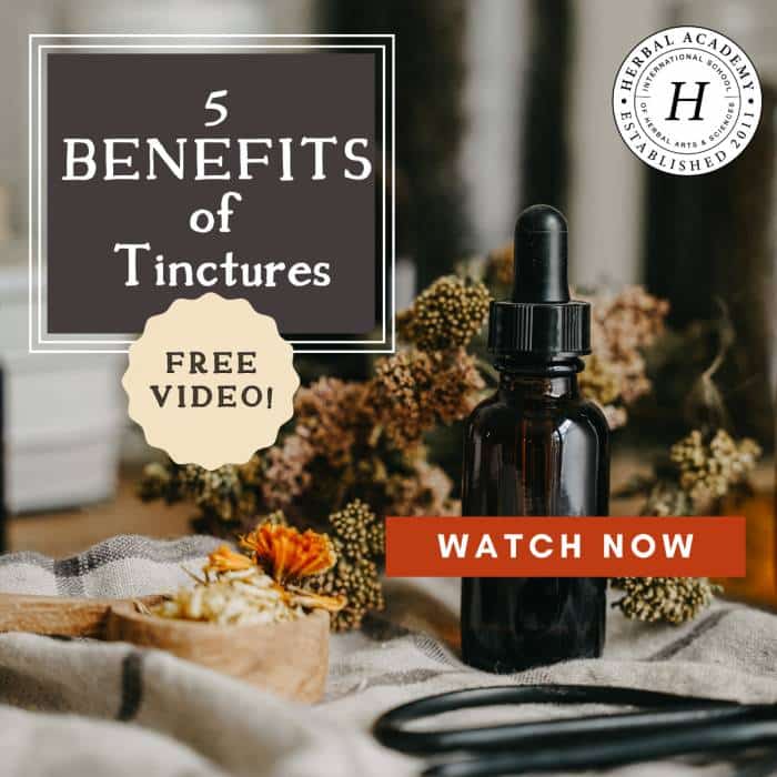 banner ad from Herbal Academy for free video about tinctures