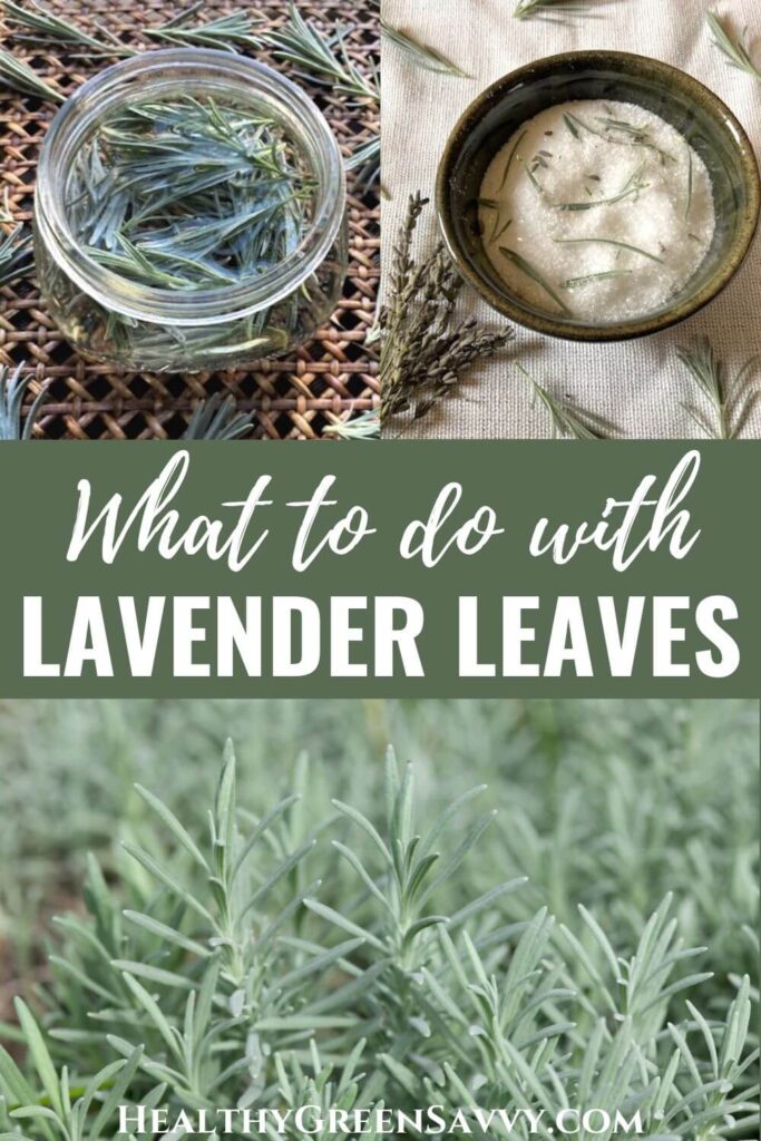pin with photos of lavender leaves steeping in vinegar, mixed in bath salts, and growing on plant with title text (what to do with lavender leaves)