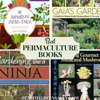 collage with covers of four of the best permaculture books plus title text