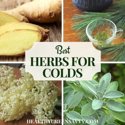 cover collage with photos of top herbs for colds ginger, pine, elderflower, and sage