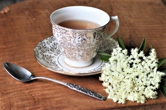 photo of elderflowers with cup of elderflower tea