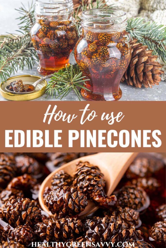 pin with photos of edible pine cones made into jam in jars with title text