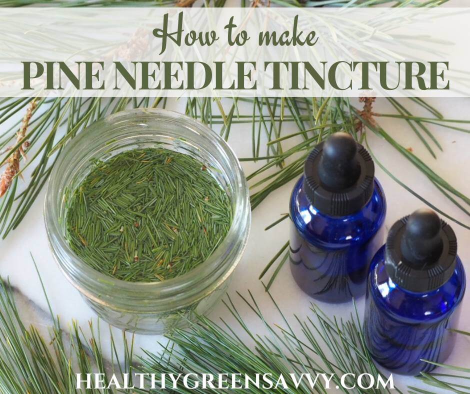 Wild Thing: Pine Needle Tea - Edible Communities