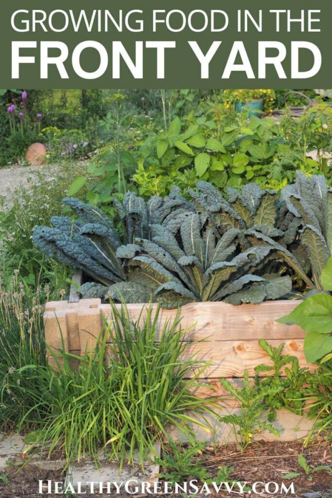 pin with photo of front yard vegetable garden raised bed with kale and herbs growing plus title text