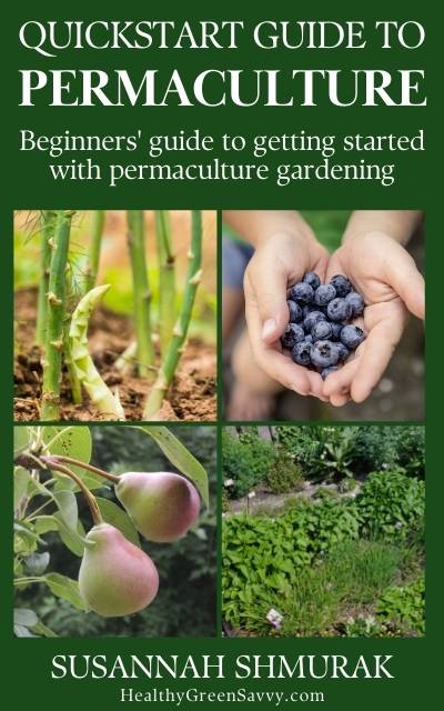 photo of cover of my new e-book Quickstart Guide to Permaculture