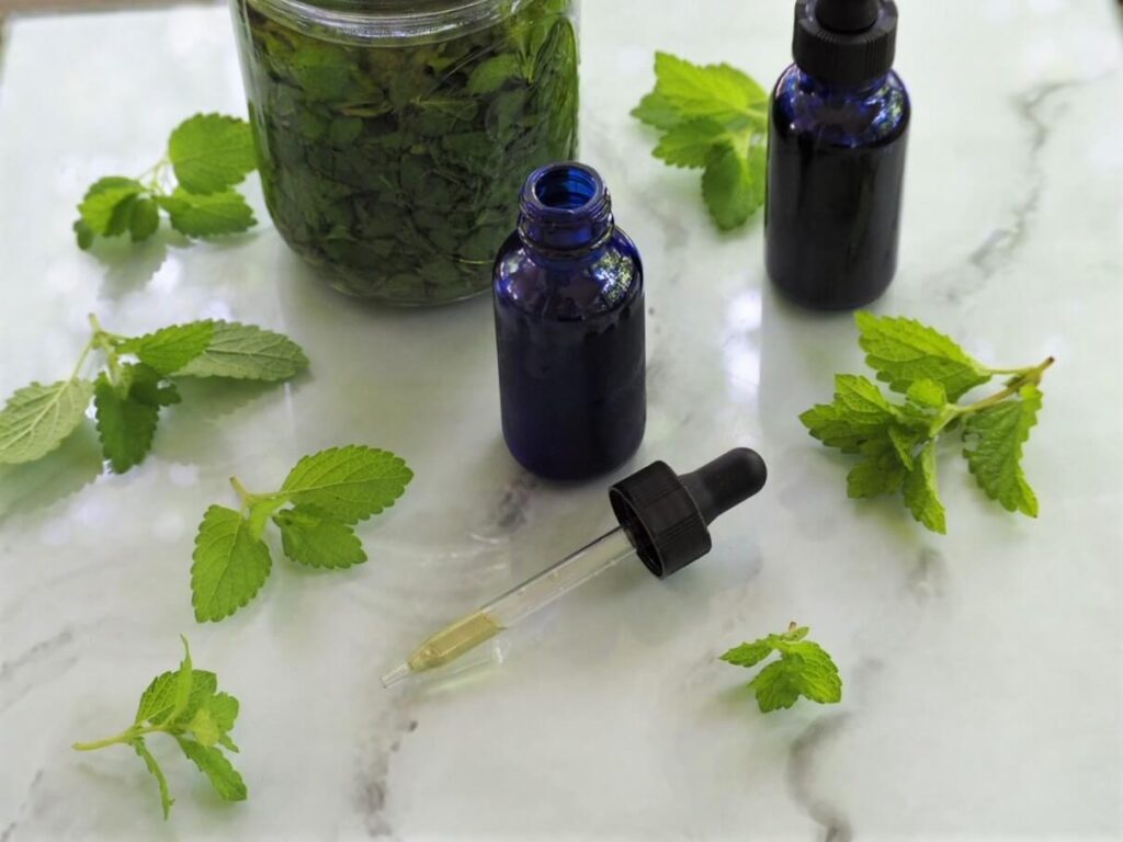  photo of lemon balm tincture steeping in jar with fresh lemon balm leaves and tincture bottles on white surface
