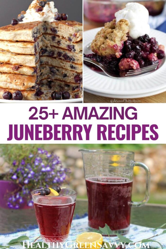 pin with collage of photos of serviceberry recipes included in post, plus title text