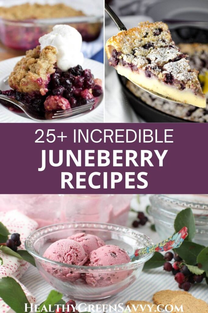 pin with collage of photos of serviceberry recipes included in post, plus title text