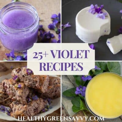 cover collage of four wild violet recipes: violet-infused aloe, violet panna cotta, blackberry and violet scones, and violet leaf balm