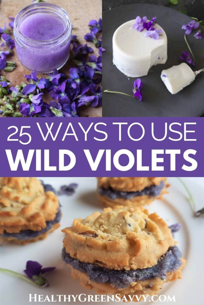 pin with photos of three wild violet recipes: violet infused aloe,
