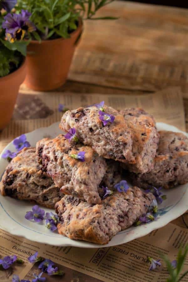 photo of blackberry wild violet scones from Under a Tin Roof