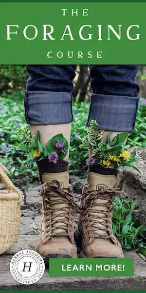 ad for Herbal Academy's foraging course with photo of forager's legs with edible wild plants stuck into boots