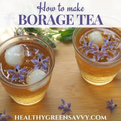 cover photo of iced borage tea in glasses with ice and borage flowers floating in it on wood background with title text overlay