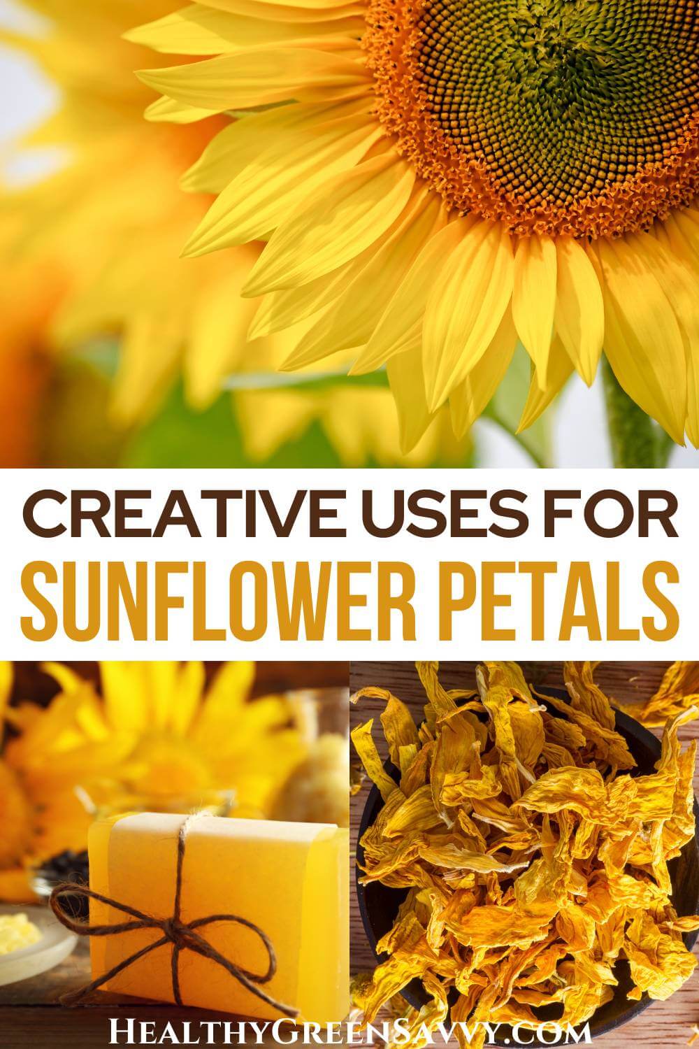 5 Cool Uses for Edible Sunflower Petals