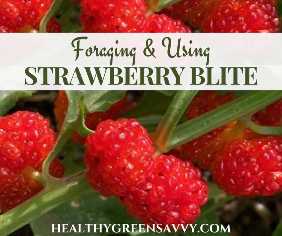 cover photo of strawberry spinach plant (aka strawberry blite) with title text overlay