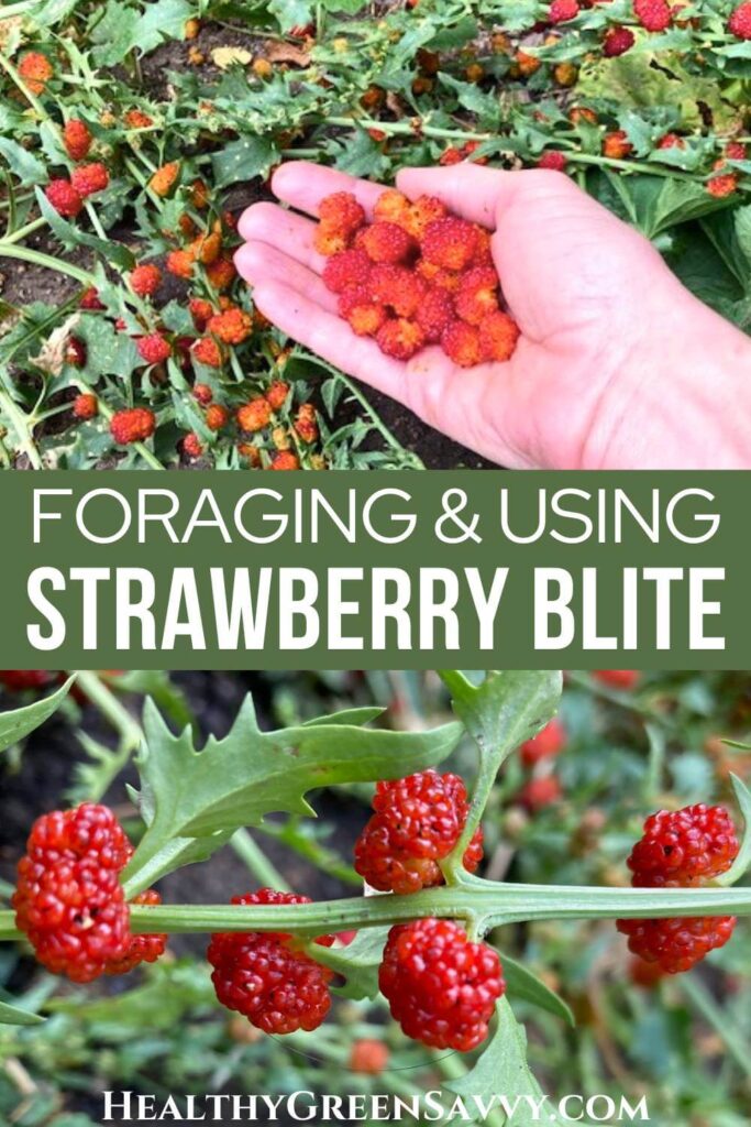 pin with photos of strawberry spinach plant (aka strawberry blite) and handful of berries with title text