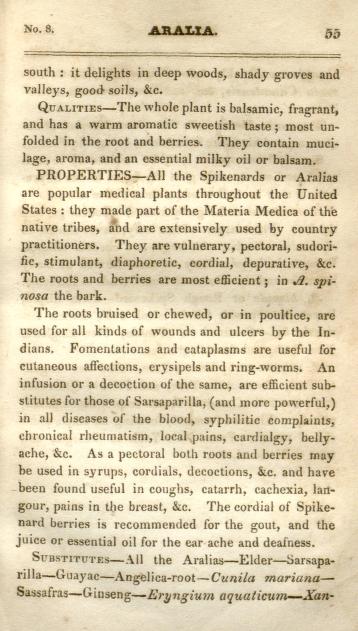 text about American Spikenard from 1828 book Medical Flora