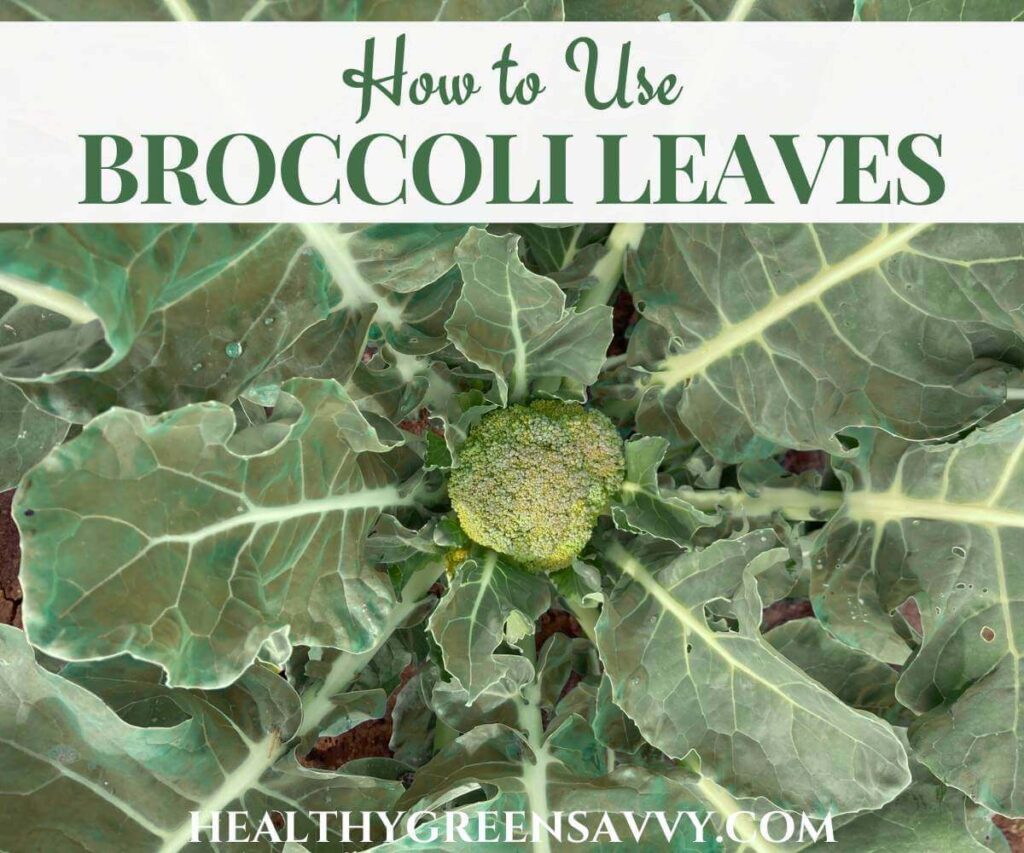 cover photo of broccoli head surrounded by edible broccoli leaves with title text overlay 