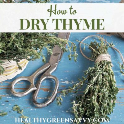 cover photo of bundle of fresh thyme with scissors and title text (How to Dry Thyme)