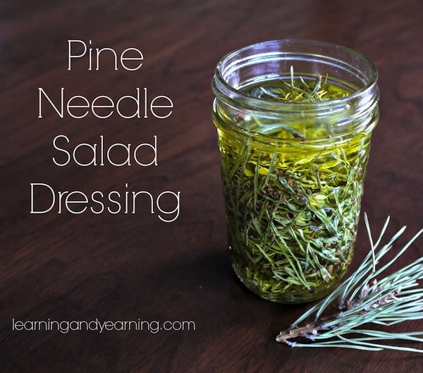 photo of pine needle salad dressing from Learning and Yearning