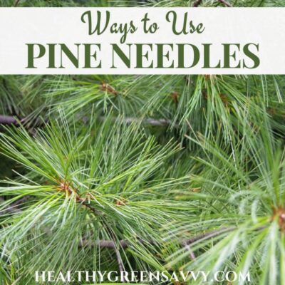 cover photo of pine needles with title text overlay