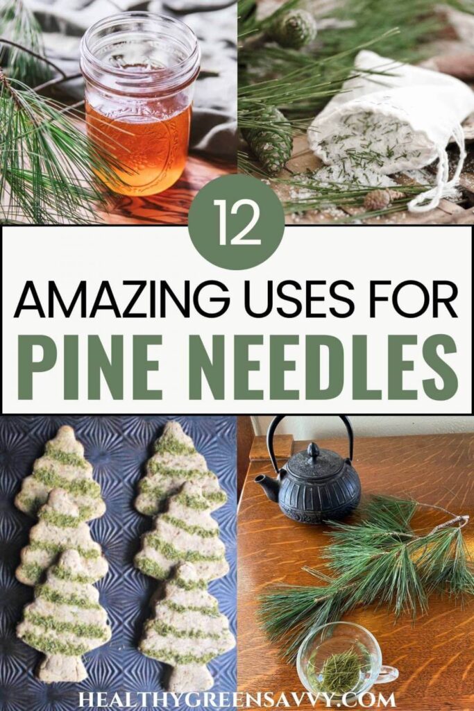 pin with photos of pine infused honey, pine bath salts, pine needle cookies, and pine needle tea plus title text