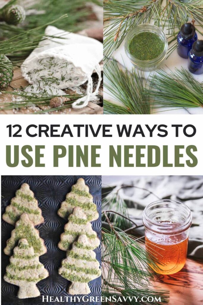 pin with photos of pine bath salts, pine tincture, pine needle cookies, and pine infused honey plus title text
