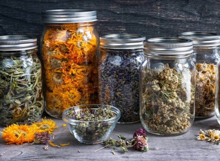 photo of dried herbs in jars