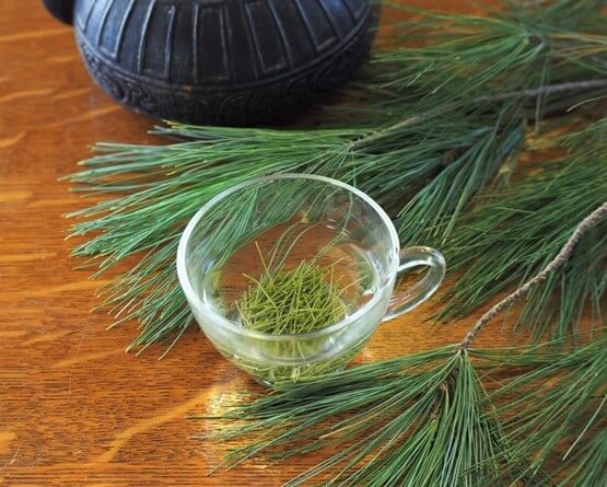 photo of chopped pine needles steeping in glass cup