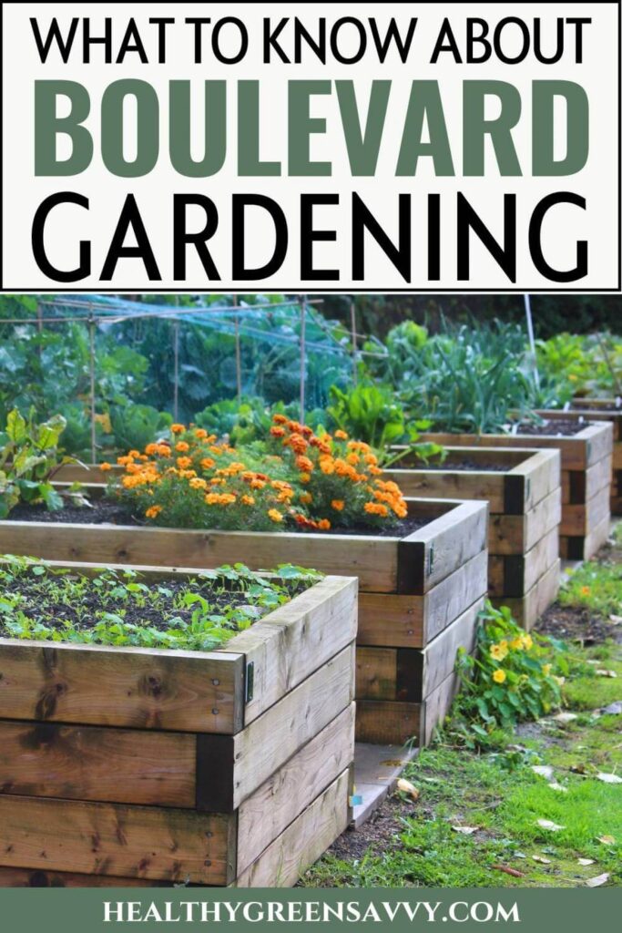 Pin with photo of raised beds filled with flowers and vegetables plus title text (What to Know about Boulevard Gardening)
