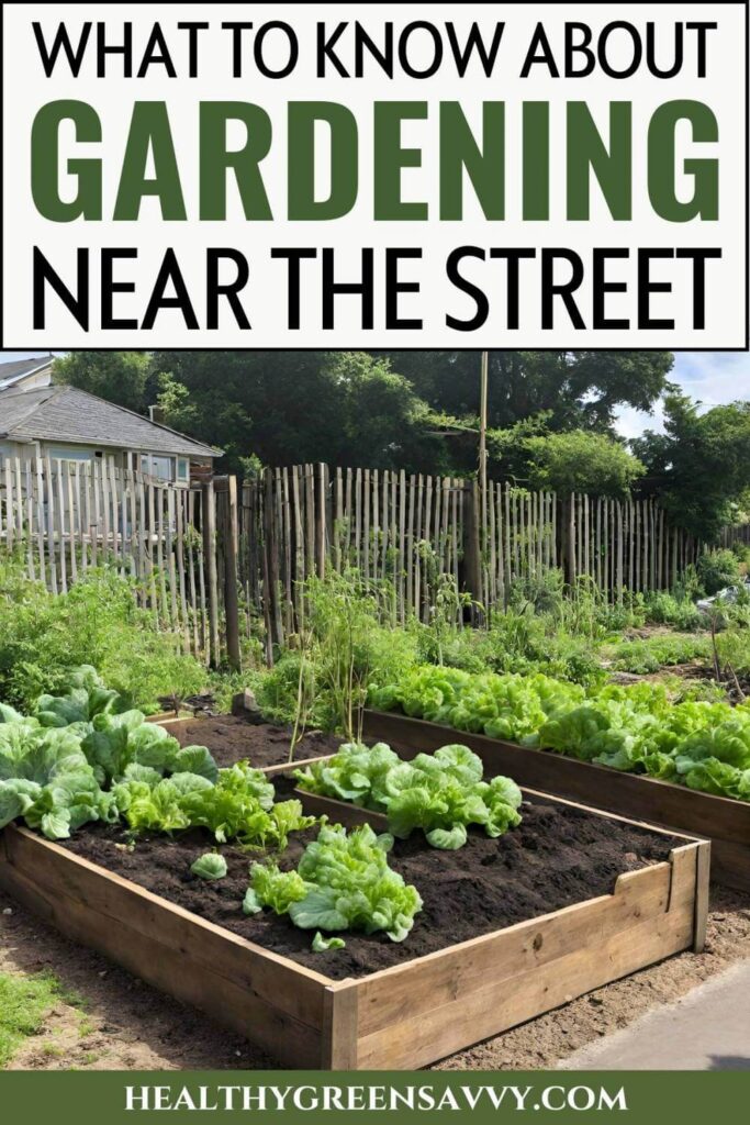 Pin with photo of raised beds filled with greens growing plus title text (What to Know about Gardening Near the Street)