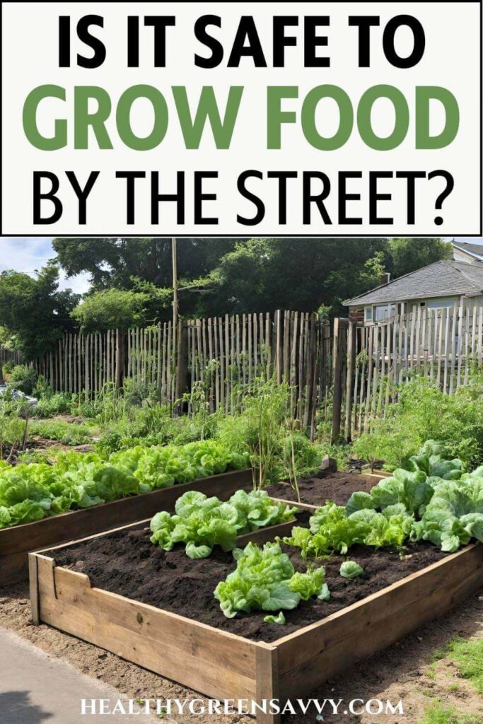 Pin with photo of raised beds filled with greens growing plus title text (Is it Safe to Grow Food by the Street)