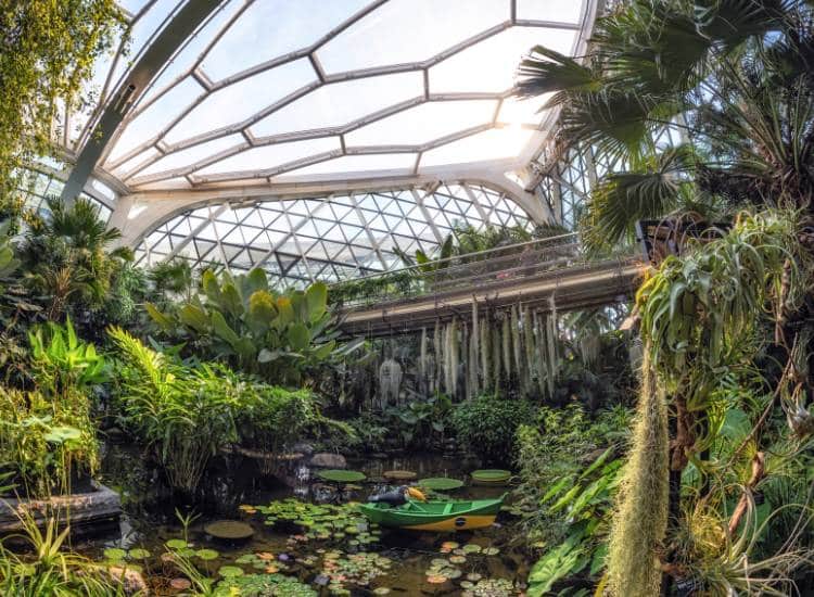 photo of plants and a pond at a glass-covered conservatory