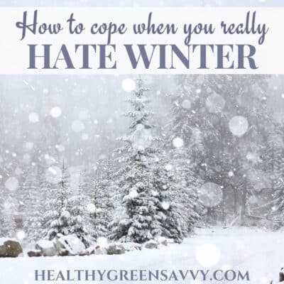 cover photo of winter snow on trees with title text overlay