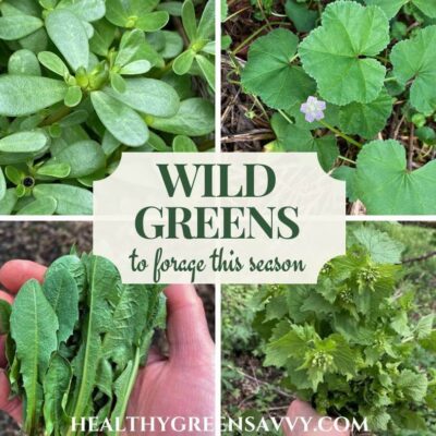 cover collage with photos of four edible wild greens (purslane, mallow, dandelion, and garlic mustard) plus title text