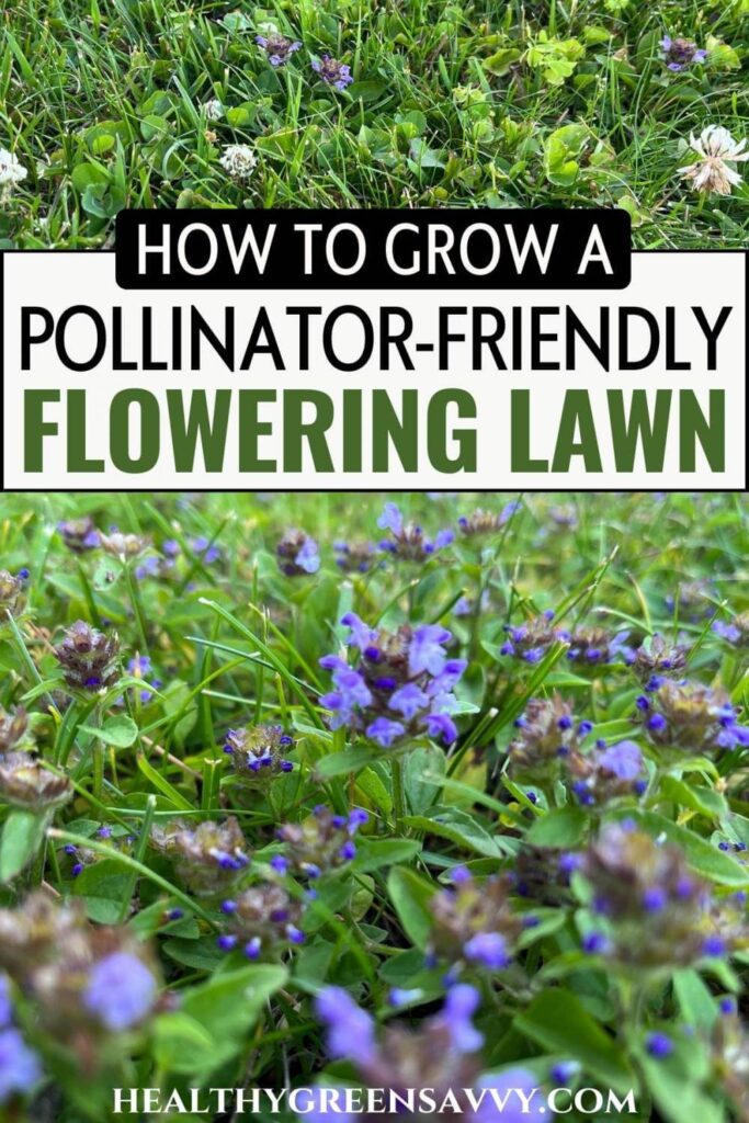pin with photos of flowering bee lawn with title text