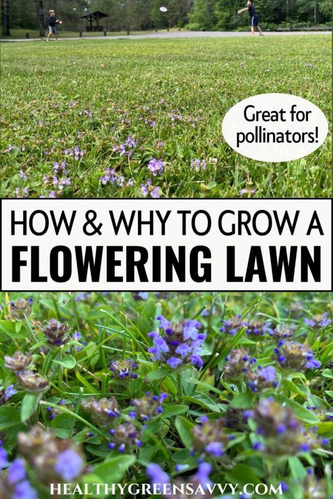 pin with photos of flowering bee lawn with title text