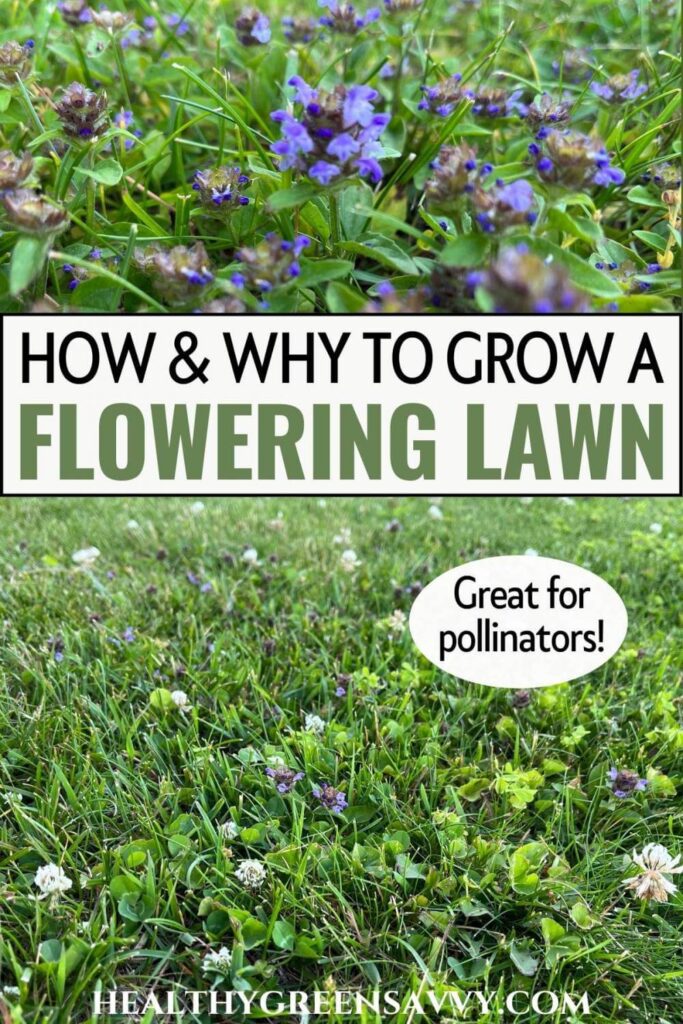 pin with photos of flowering bee lawn with title text