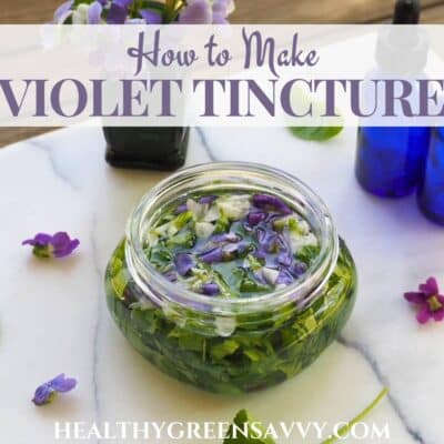 cover photo of materials for making wild violet tincture: violet leaves and flowers in glass jar, tincture bottles on marble background with title text overlay