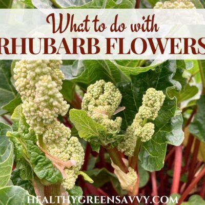 cover photo of rhubarb flowers with title text overlay