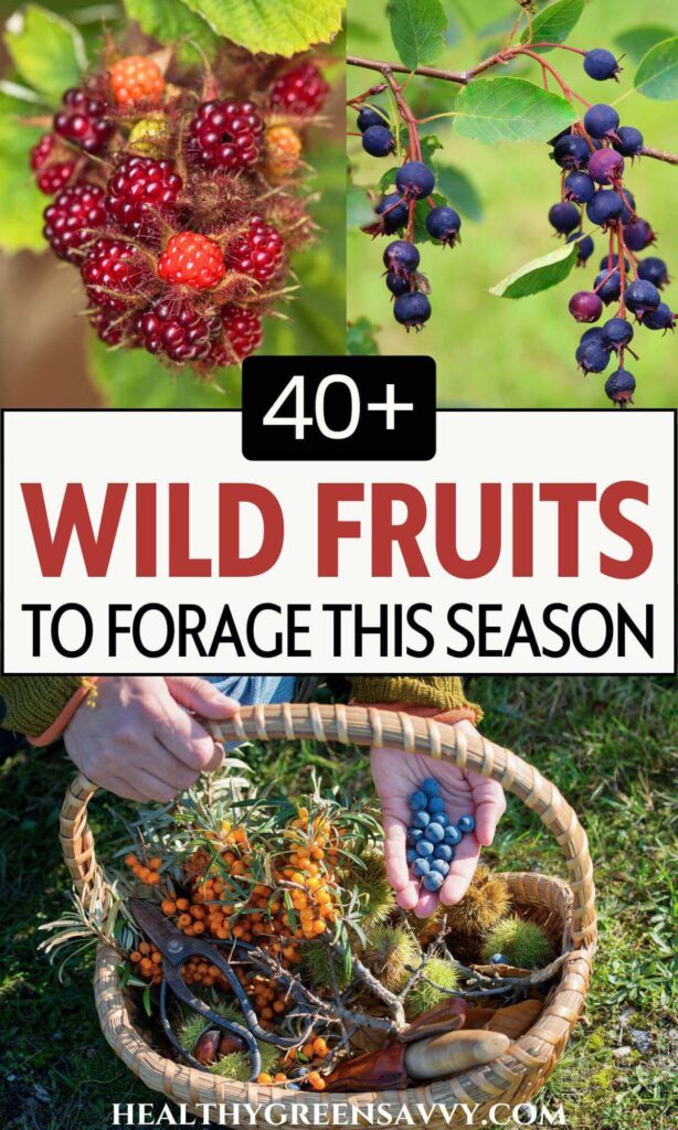 pin with photos of wild fruits (wineberries, juneberries and basket filled with foraged fruits plus title text