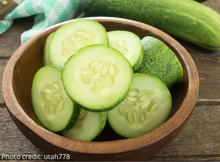 photo of sliced cucumbers in bowl
