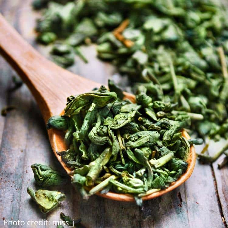 photo of loose green tea in wooden spoon