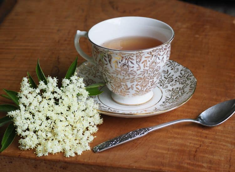 photo of elderflower tea brewing in white china cup