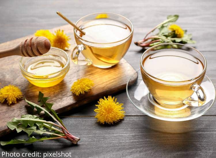 photo of dandelion tea in glass cups with dandelion flowers and leaves