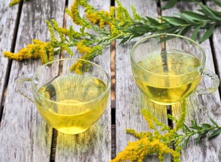 photo of goldenrod tea in glass cups with goldenrod flowers on wooden table