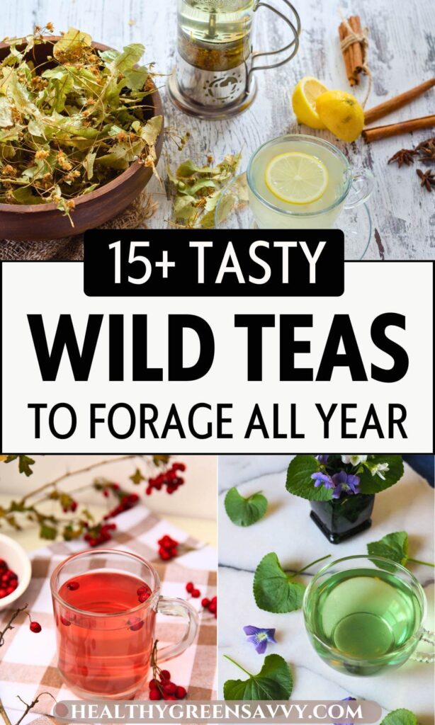 pin with photos of wild tea brewing with foraged linden, hawthorn berries, and violet leaves plus title text