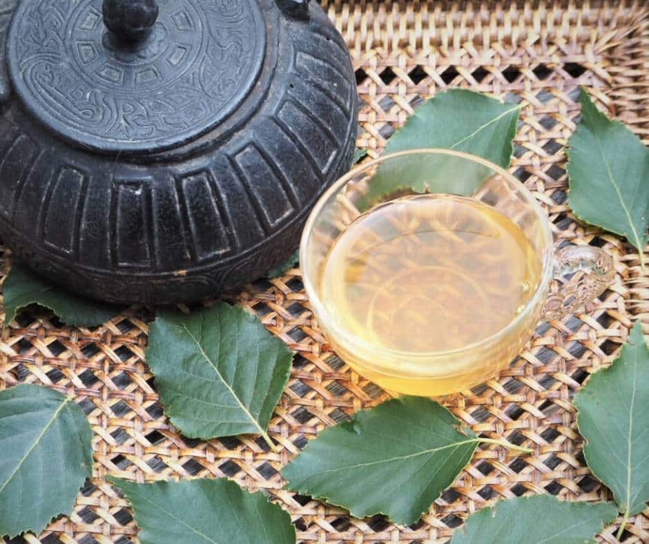 photo of birch leaves steeped into tea in glass cup with metal tea pot