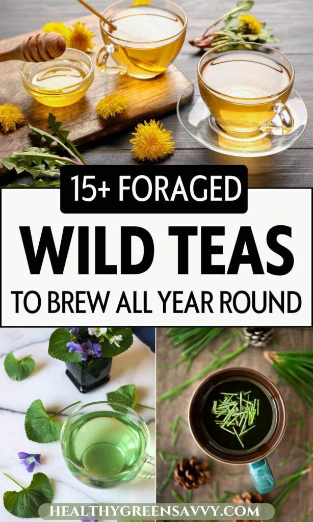 pin with photos of wild tea brewing with foraged ldandelions, violet leaves, and pine needles plus title text
